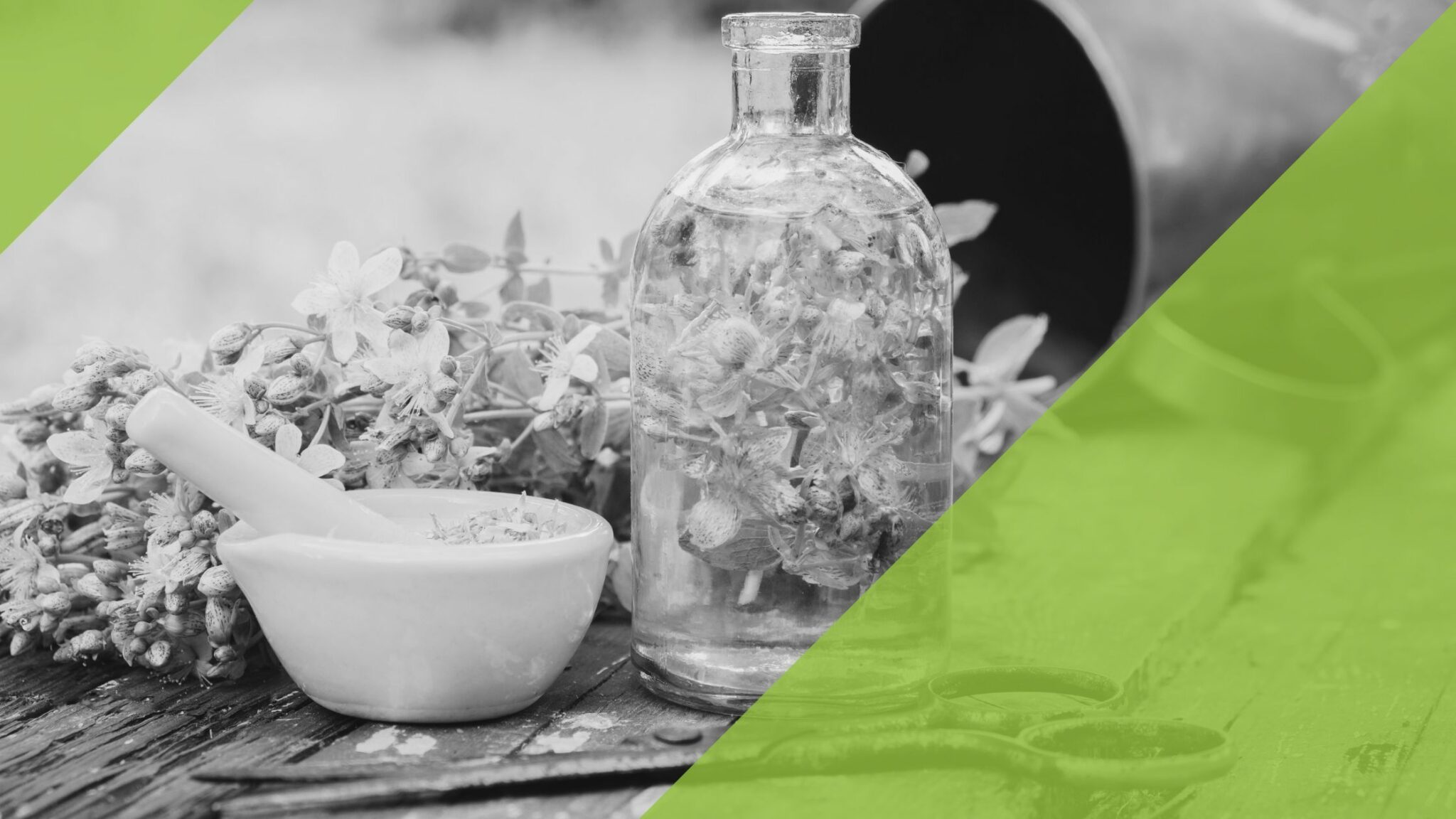 Close-up van sint-janskruid bloemen, een medicinale as, een schaar en een laboratorium vijzel. De afbeelding symboliseert een natuurlijk, plantaardig alternatief voor benzodiazepinen bij de behandeling van angststoornissen door middel van sint-janskruid.