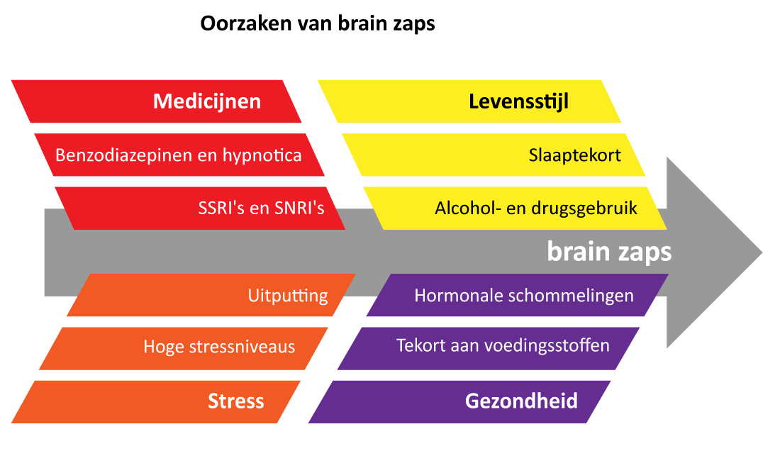 Infographic toont mogelijke oorzaken van brain zaps. Factoren zijn gegroepeerd: medicatie, levensstijl, stress en gezondheid.
